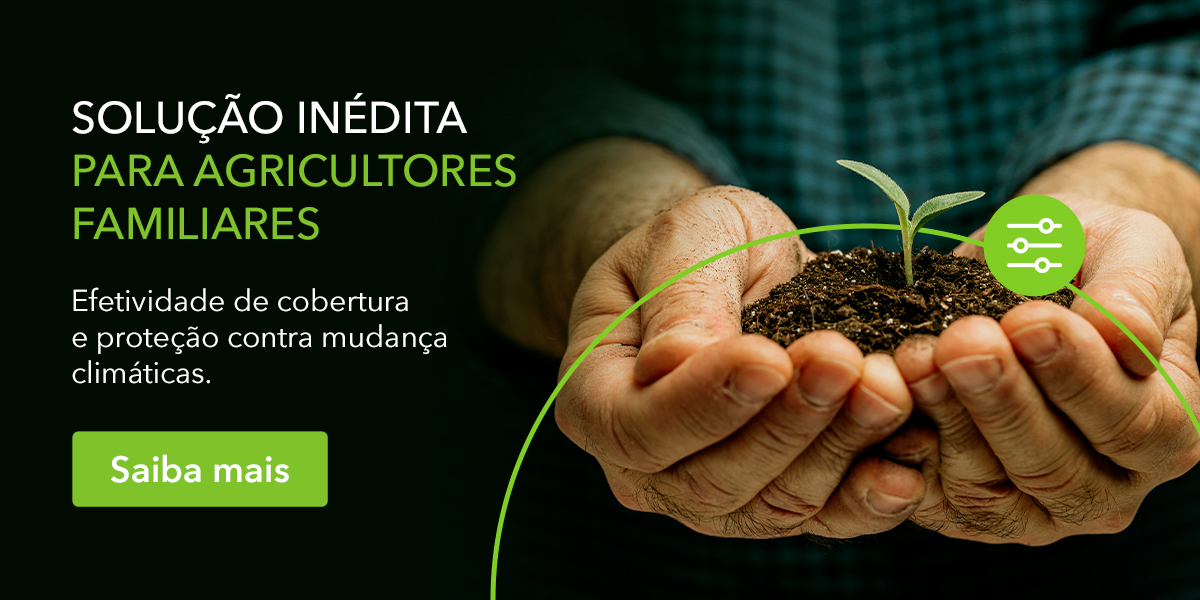 projeto agricultura familiar 