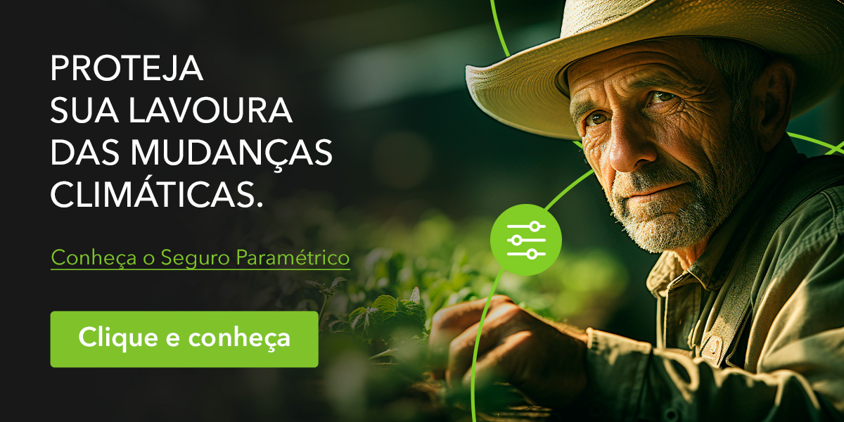 pancadas chuva seguro paramétrico